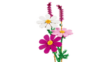 Les cosmos - Botanical Collection