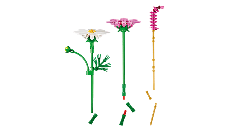 Les cosmos - Botanical Collection