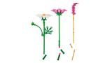 Les cosmos - Botanical Collection