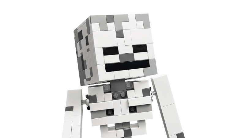 The Skeleton - Minecraft