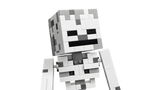 The Skeleton - Minecraft