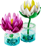 Water Lilies - Botanical Collection