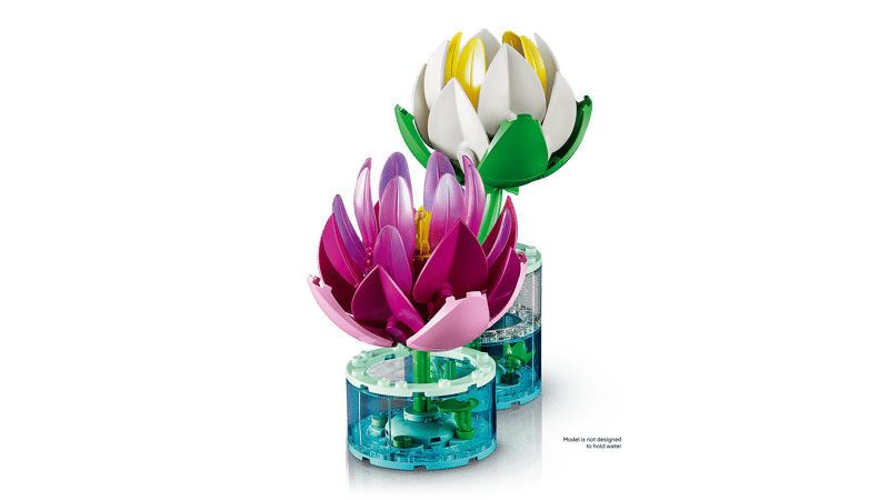 Water Lilies - Botanical Collection