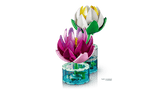 Water Lilies - Botanical Collection