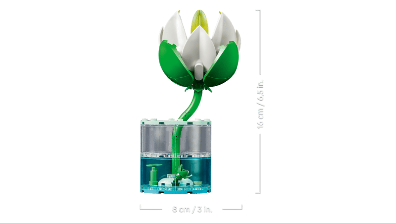 Water Lilies - Botanical Collection