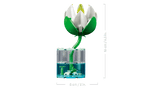 Water Lilies - Botanical Collection