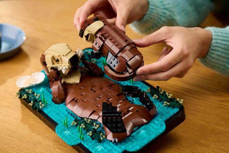 Floating Sea Otters - Ideas