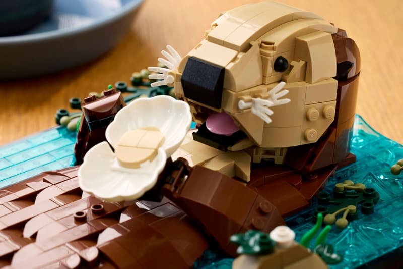 Floating Sea Otters - Ideas