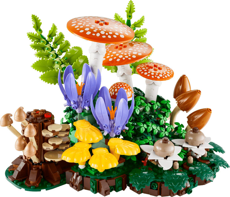 Les champignons des bois - Botanical Collection
