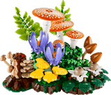 Les champignons des bois - Botanical Collection