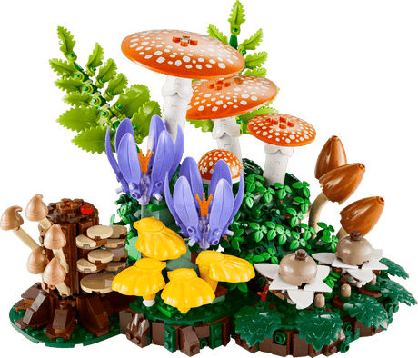 Les champignons des bois - Botanical Collection