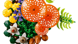 Les champignons des bois - Botanical Collection