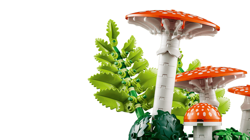 Les champignons des bois - Botanical Collection