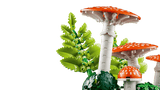 Les champignons des bois - Botanical Collection