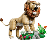 Wild Animals : Majestic Lion - Creator 3-in-1