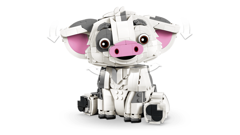 Pua - Disney