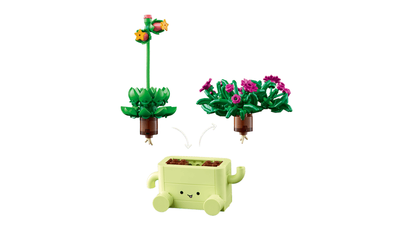Les plantes oscillantes - Botanical Collection