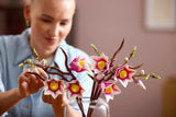 Les branches de Magnolia - Botanical Collection