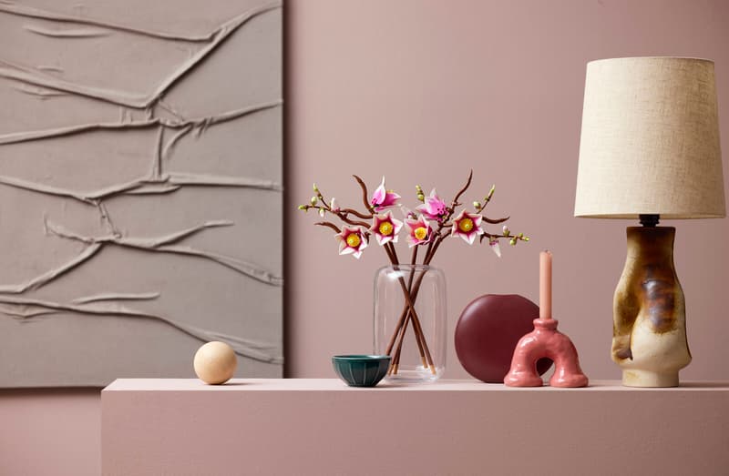 Les branches de Magnolia - Botanical Collection