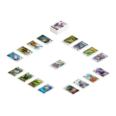 Cardline Animals 2 (Ang) - La Ribouldingue