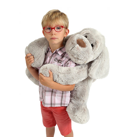 Chien Flatoutou assis