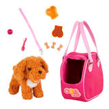Chiot Caniche et accessoires - La Ribouldingue