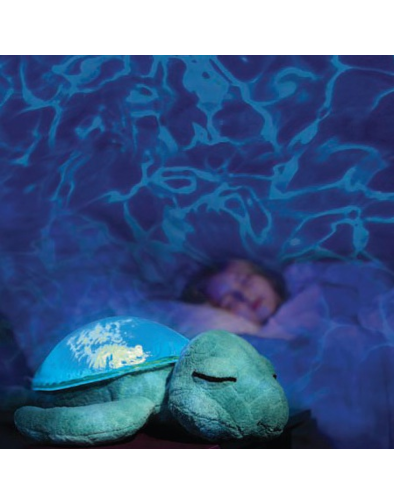 Tranquil Turtle Rechargeable - Aqua