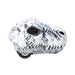 Dino Skull - Chomp & Go - La Ribouldingue