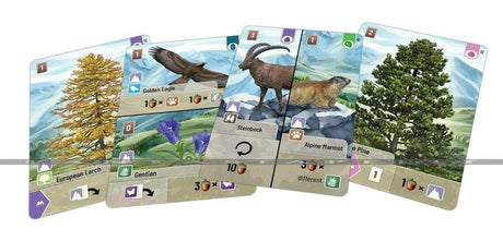 Forest Shuffle - Alpine Shuffle (Ext) (Ang) - La Ribouldingue