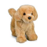 Golden Retriever Chap - La Ribouldingue