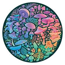 Cercle des couleurs champignons - 500 mcx