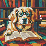 L'intellectuel - La Ribouldingue