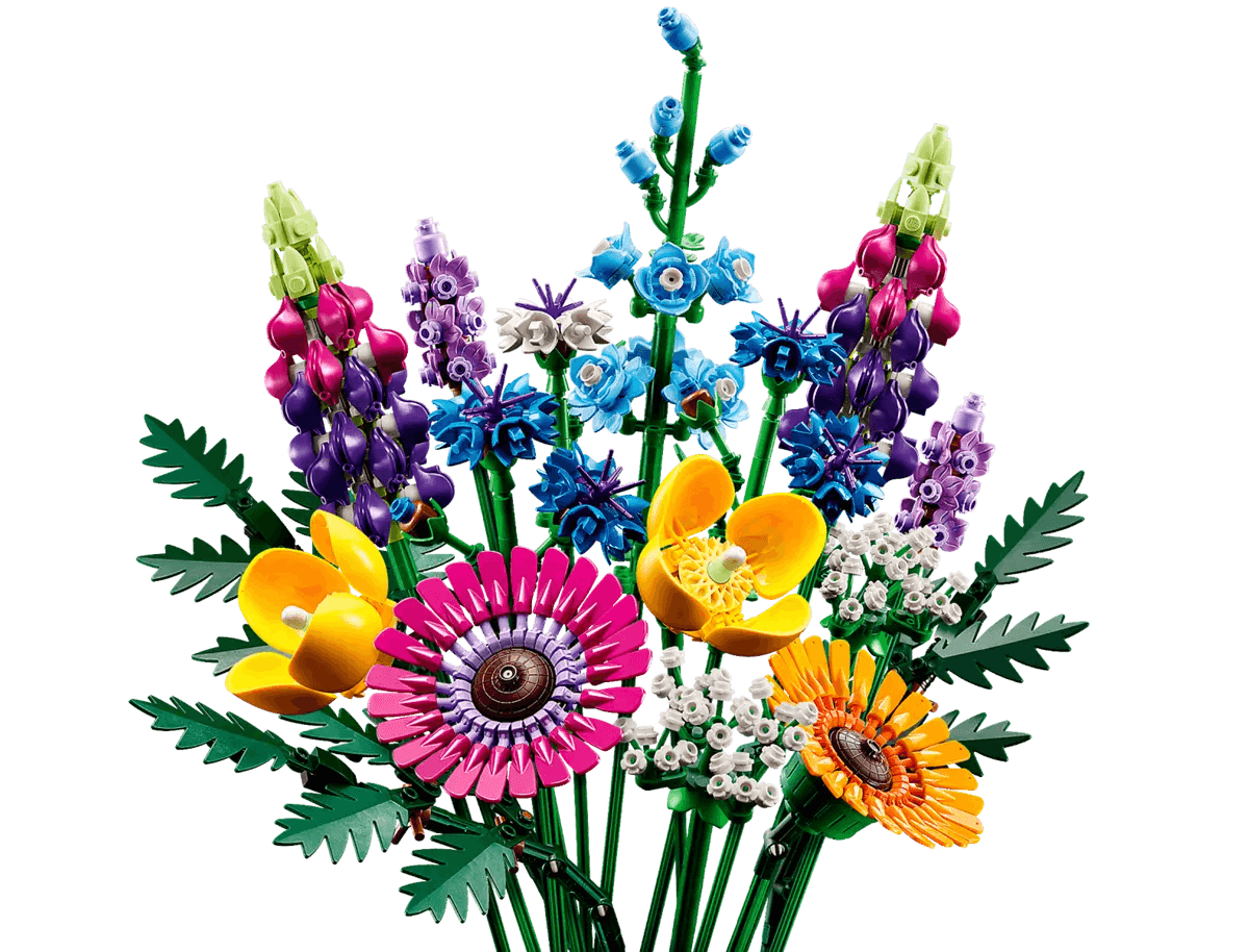 The bouquet of wild flowers – La Ribouldingue