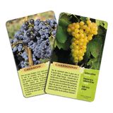 Le jeu des cépages (Fr) - La Ribouldingue