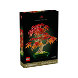 Le bonsaï d’érable rouge japonais - Botanical Collection