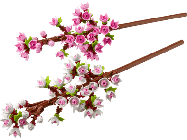 Les fleurs de cerisiers - La Ribouldingue