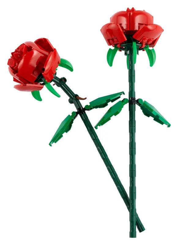 Les roses - La Ribouldingue