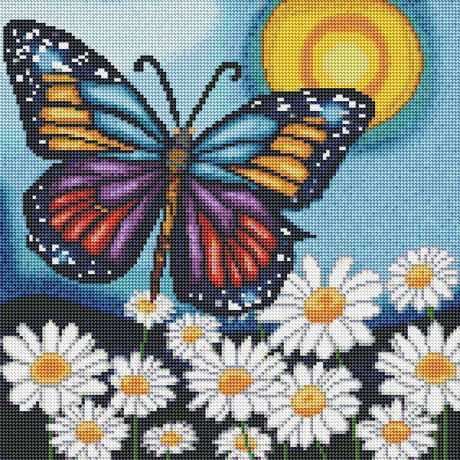 Marguerites et papillon - La Ribouldingue