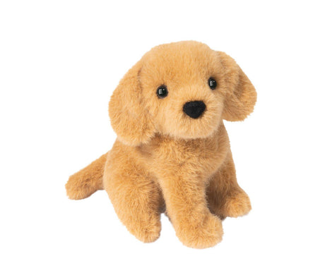 Mini golden Retriever - La Ribouldingue