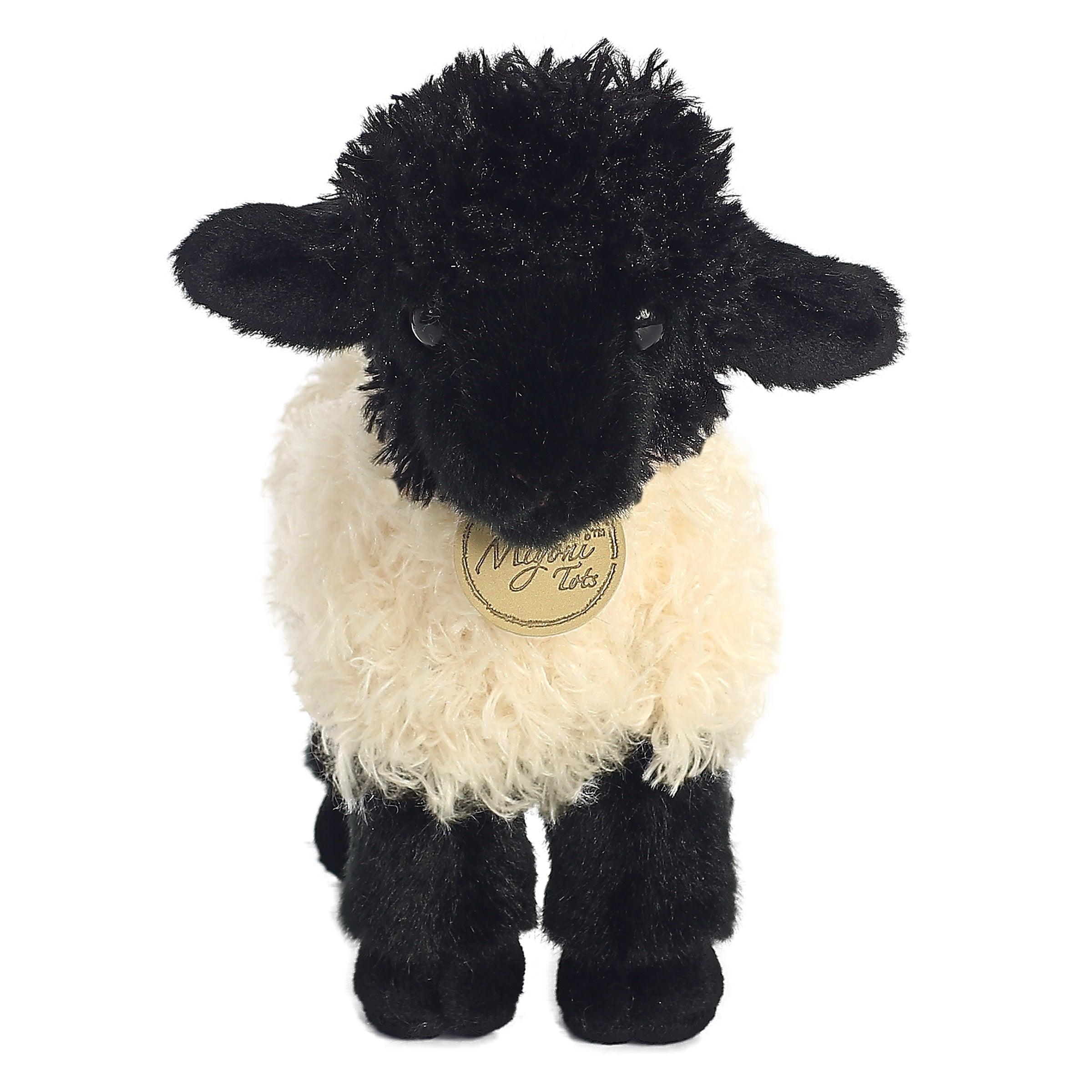 Miyoni - Suffolk l'Agneau 8 1/2 po - La Ribouldingue