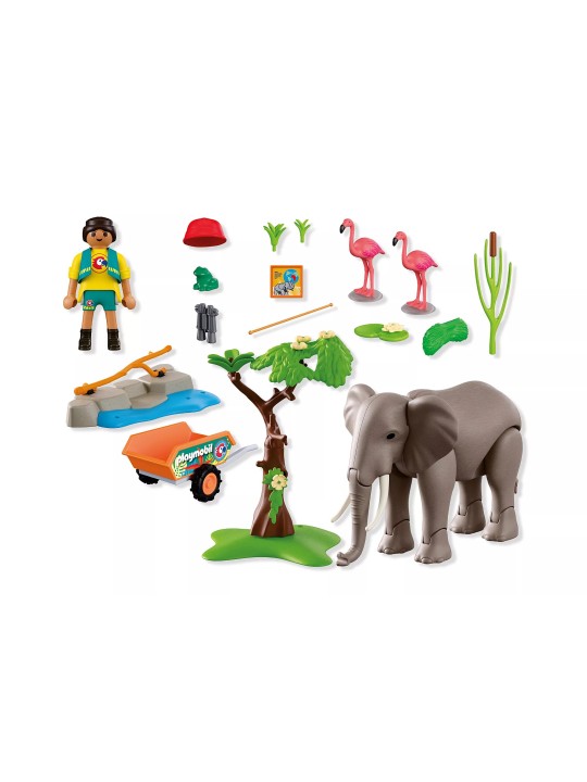 Elephant with Zookeeper - Animal and Friends