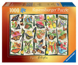 Tropical Butterflies - 1000 pcs