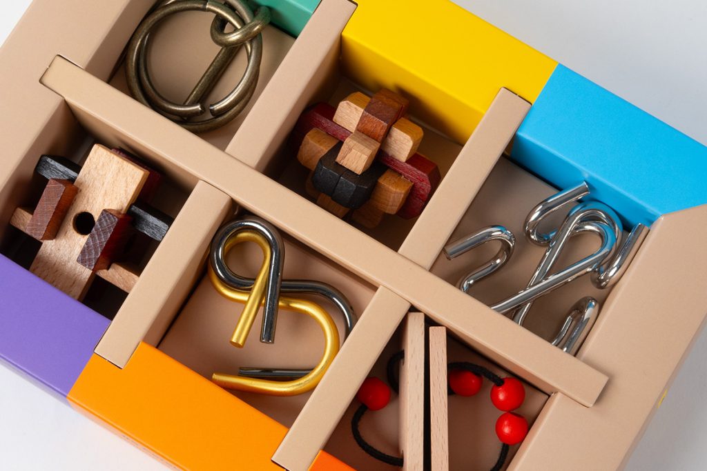 Brain Puzzle - Set of 6 (Multi)