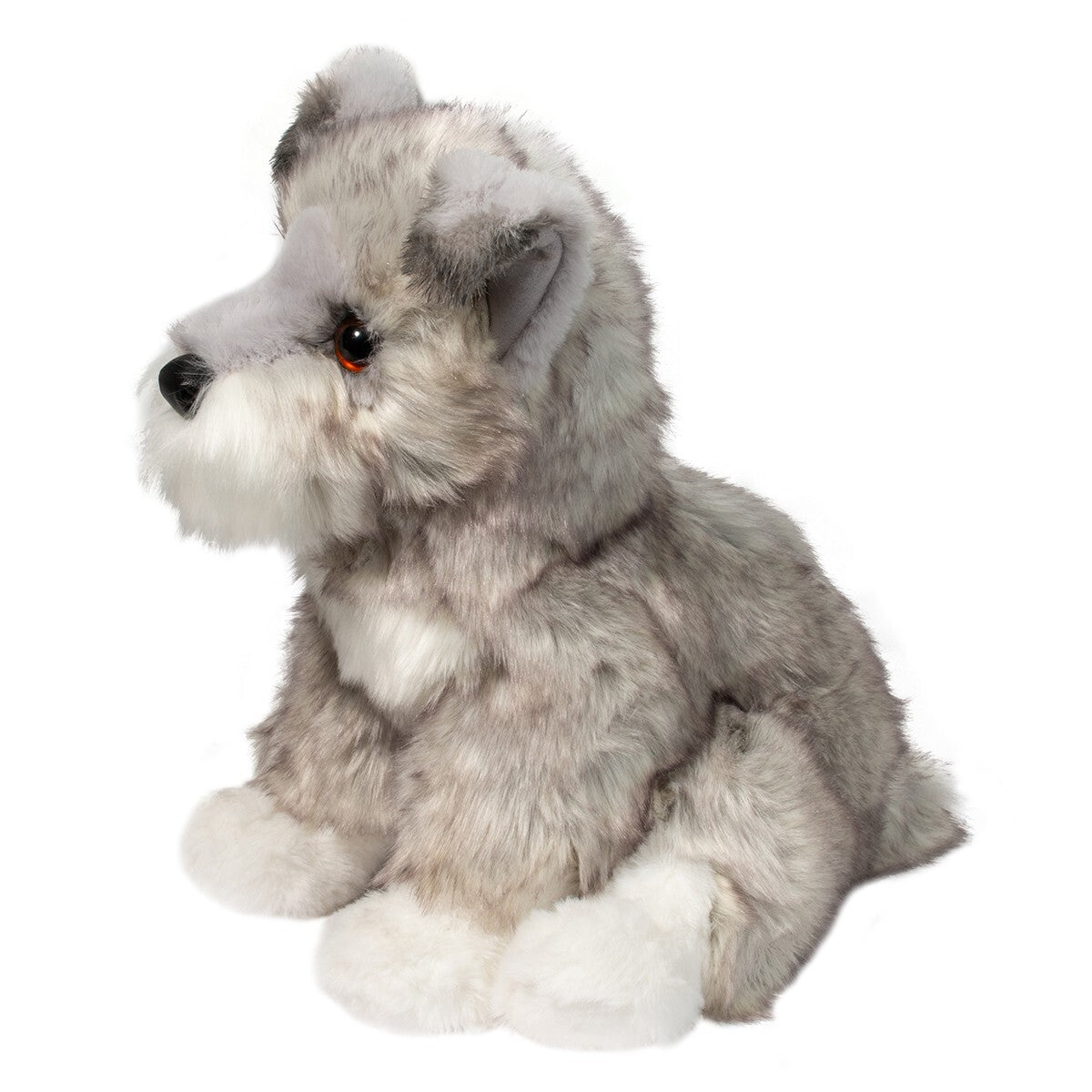Arnold le Schnauzer miniature