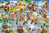Animal selfies - 200 pcs