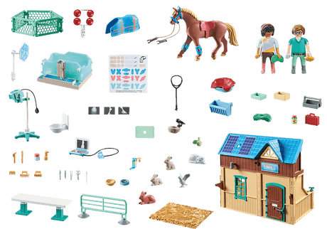 Vétérinaire et centre de thérapie - Horses of Waterfall - La Ribouldingue