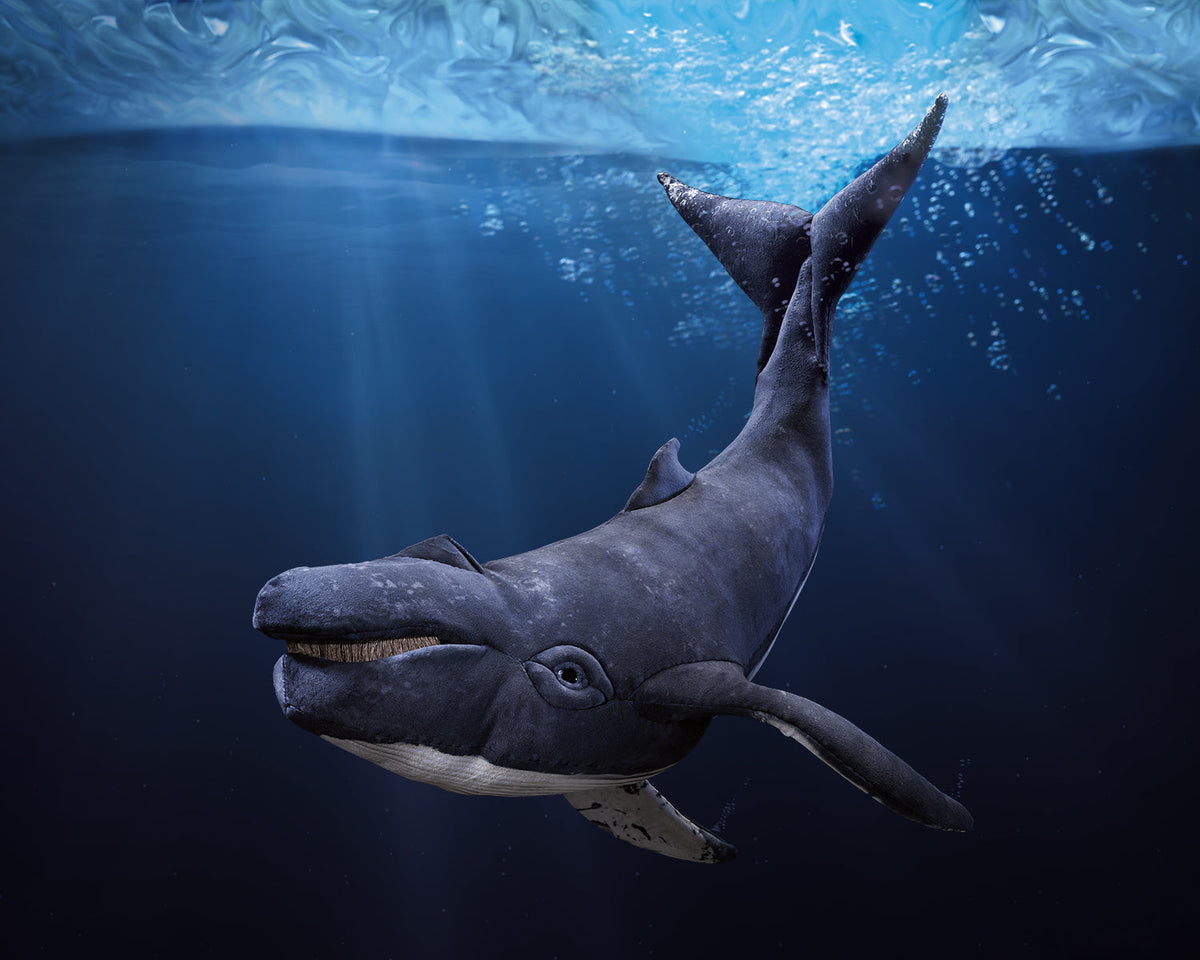 Humpback Whale Puppet