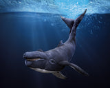 Humpback Whale Puppet