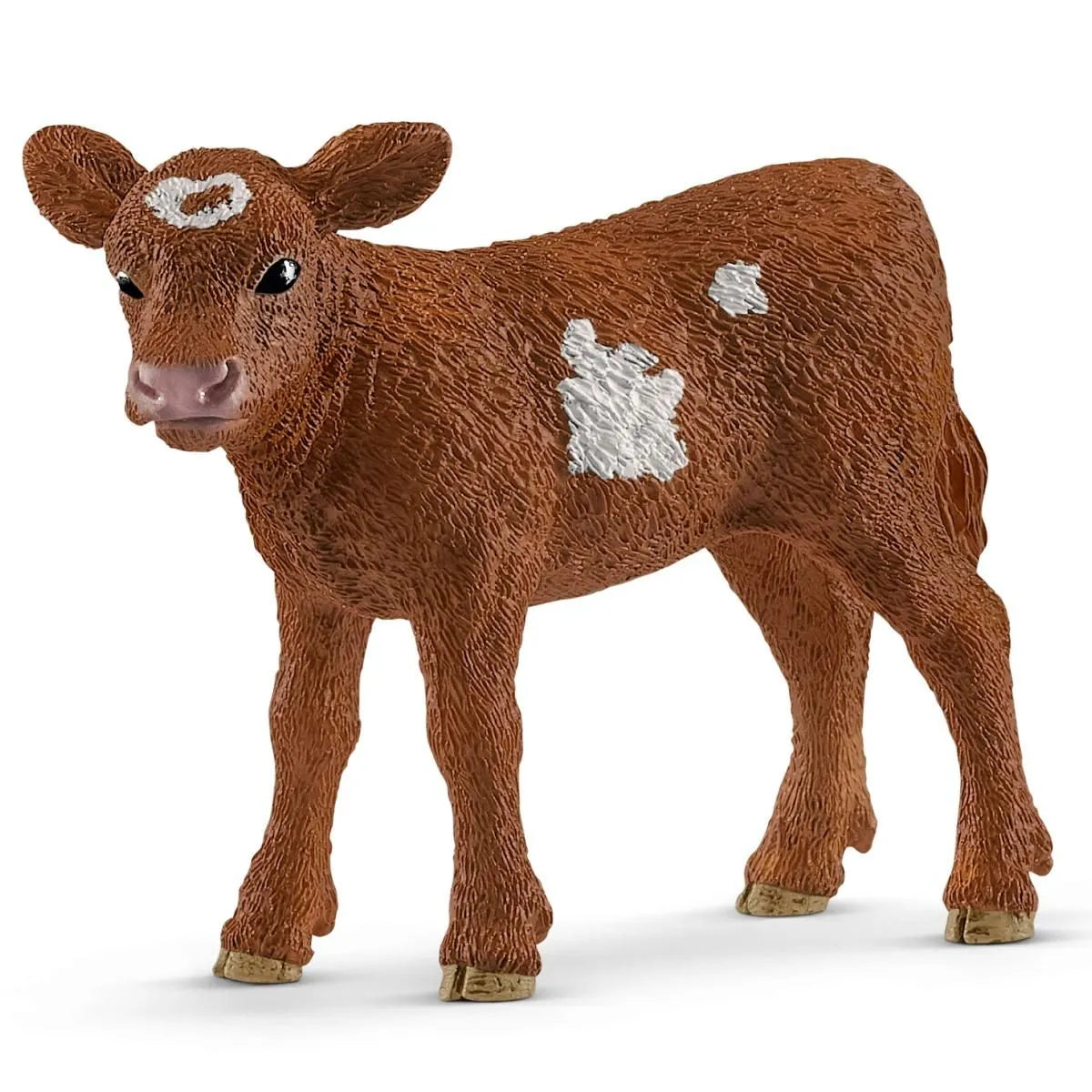 Veau Texas Longhorn
