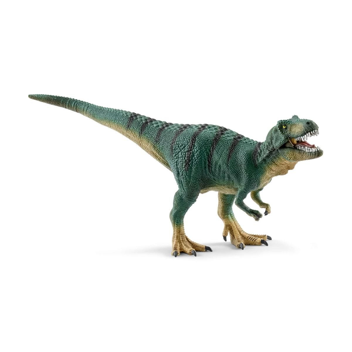 T-Rex  Jeune - Dinosaure